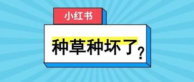 小紅書運(yùn)營技巧