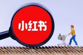 小紅書KOL