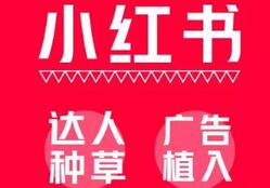 小紅書變現
