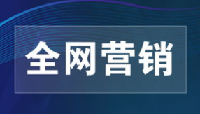 全網營銷策劃