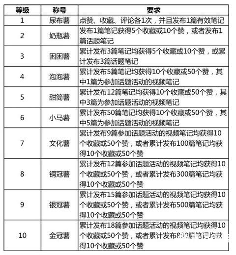 小紅書產品分析報告！