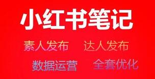 QQ截圖20201103142614.jpg