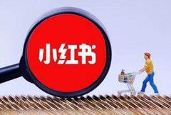 品牌主在小紅書上的KOL選擇時需要考慮哪些因素？